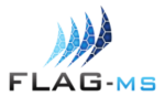 LogoFLAG MS SM